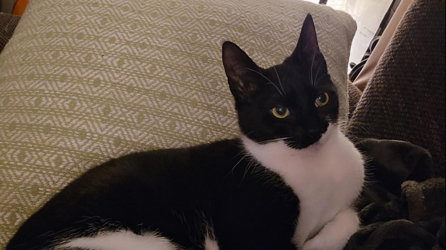 Yuki