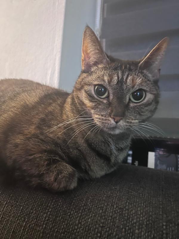 Luna