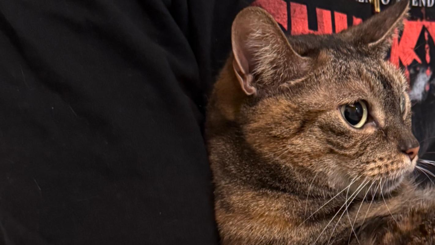 Luna