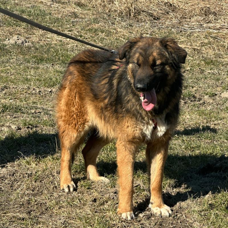 Gina