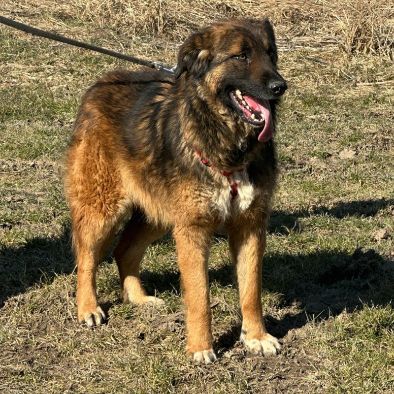 Gina