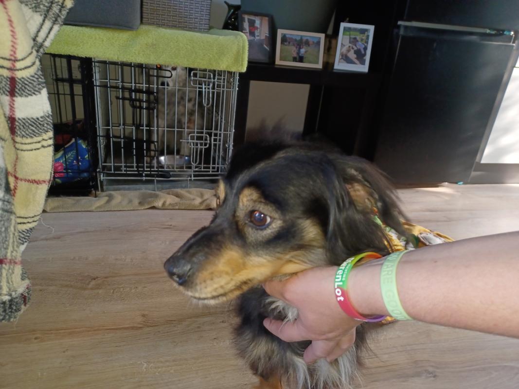 Slinky