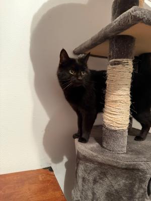 Binkie en Sientje