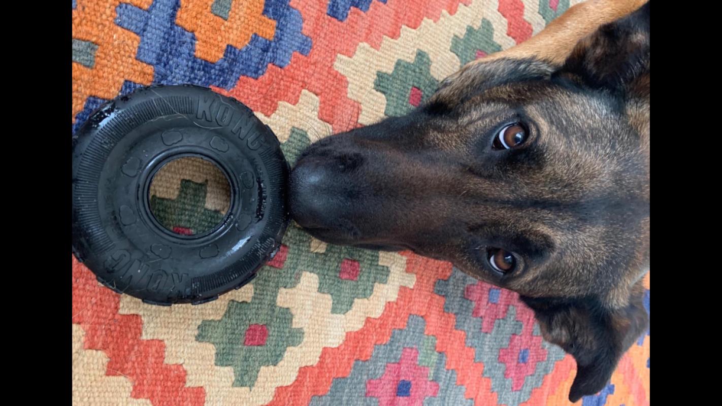 Echo