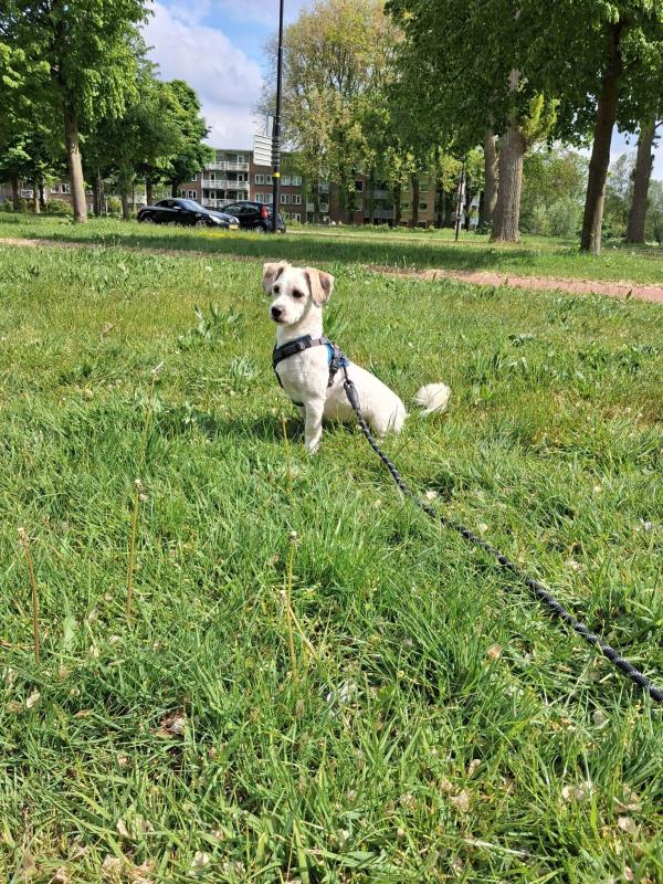 Marley