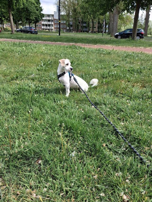 Marley