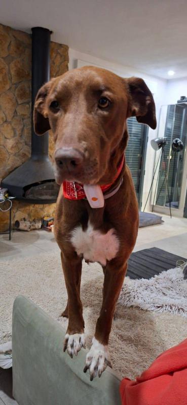 Bella