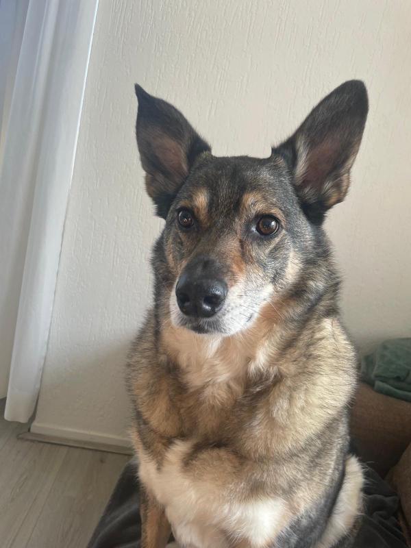 Milo