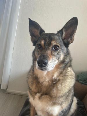 Milo