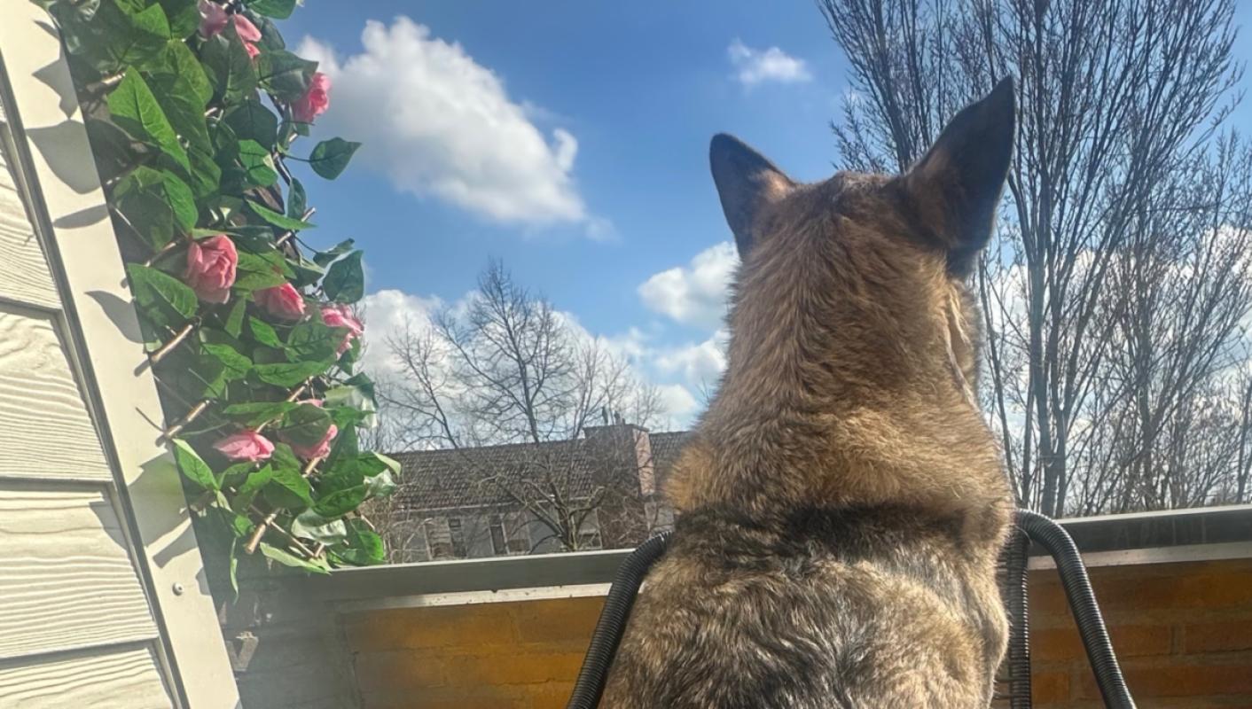 Milo