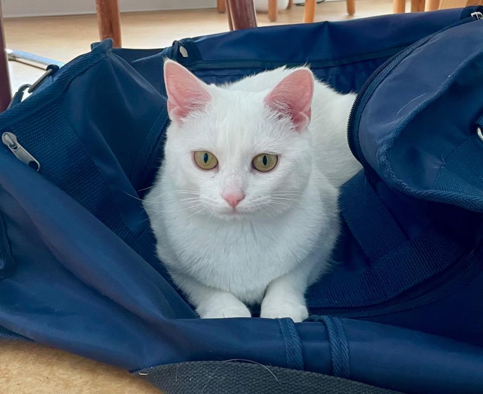 Luna