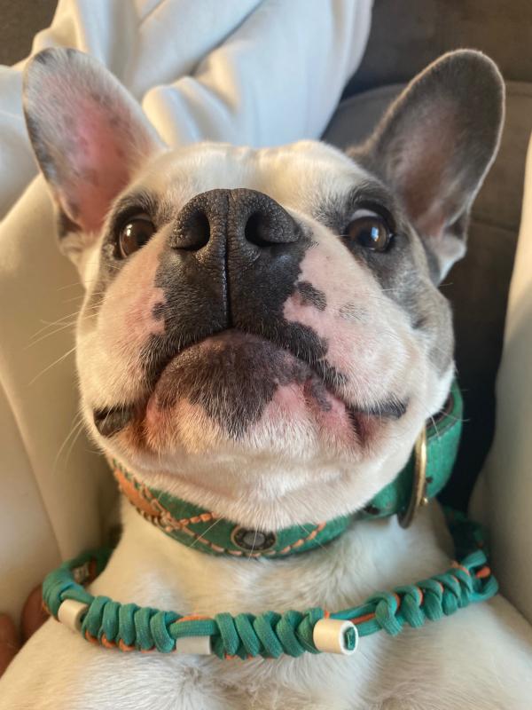 Billy