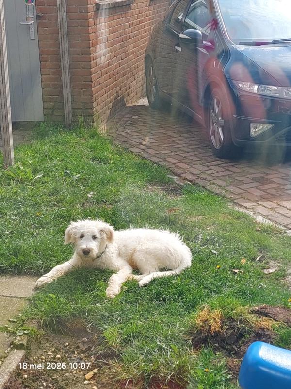 Max