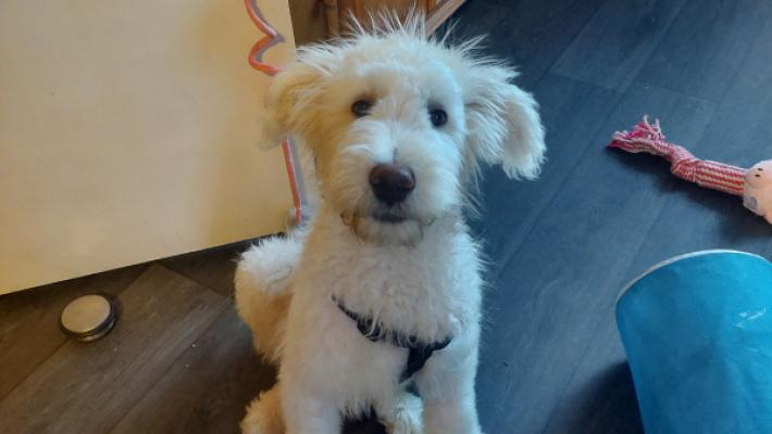 Max