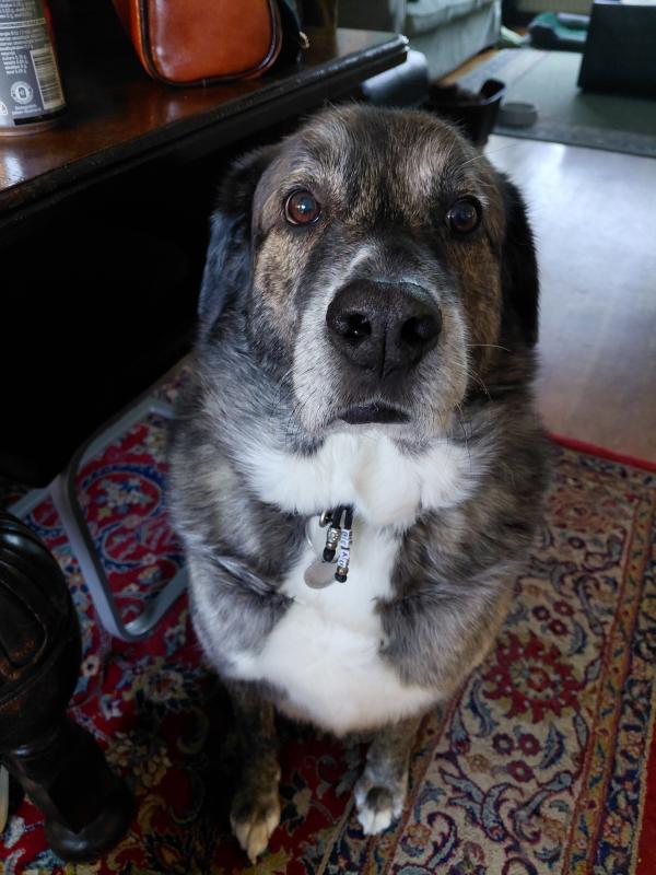 Beau