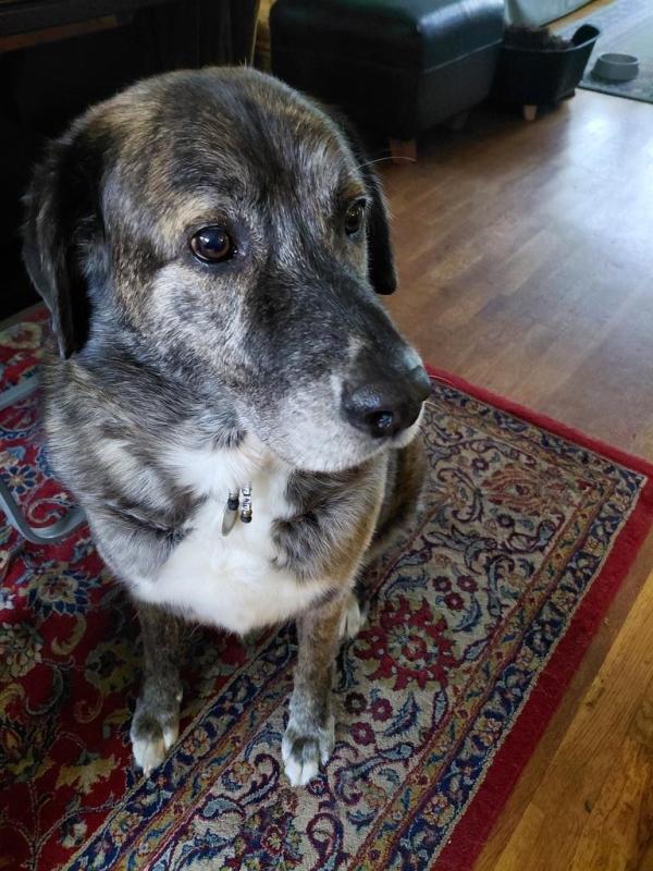 Beau