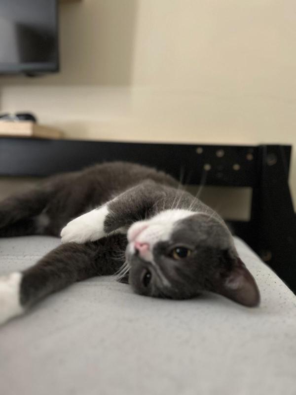 Boris