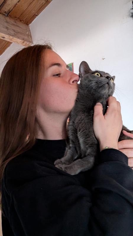 Minimiau