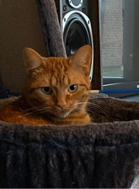 Dikkie