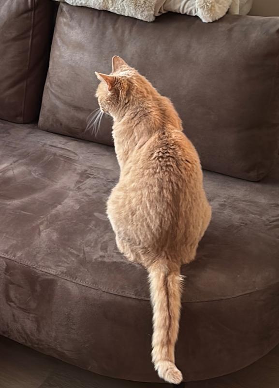 Sam