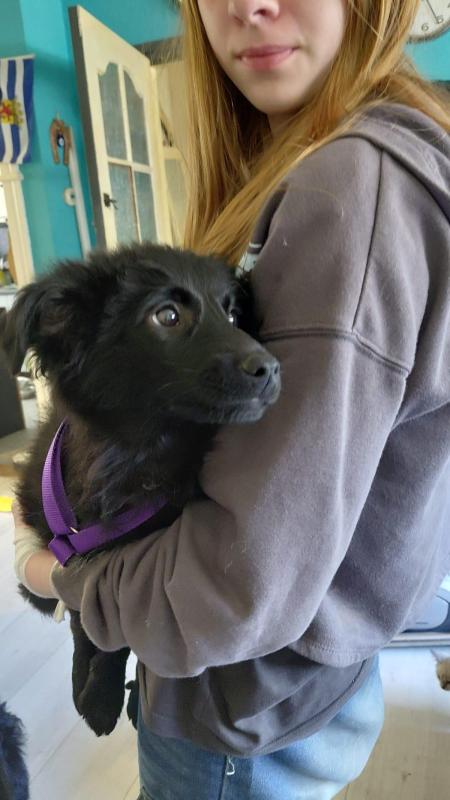 Manda