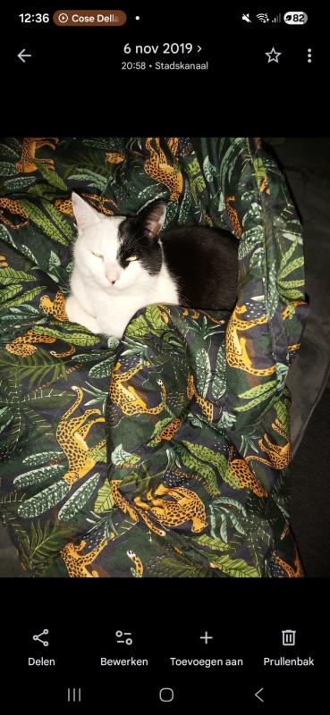 Jax