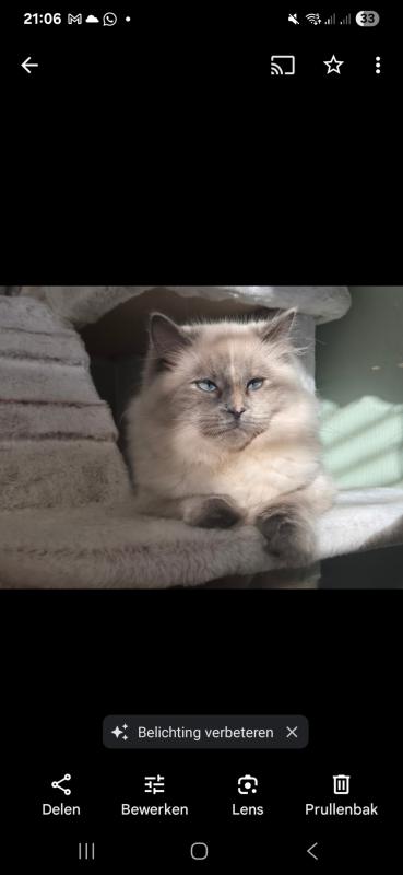 Yuki