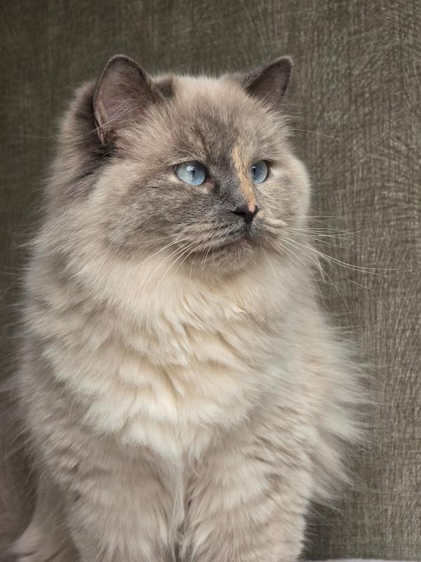 Yuki