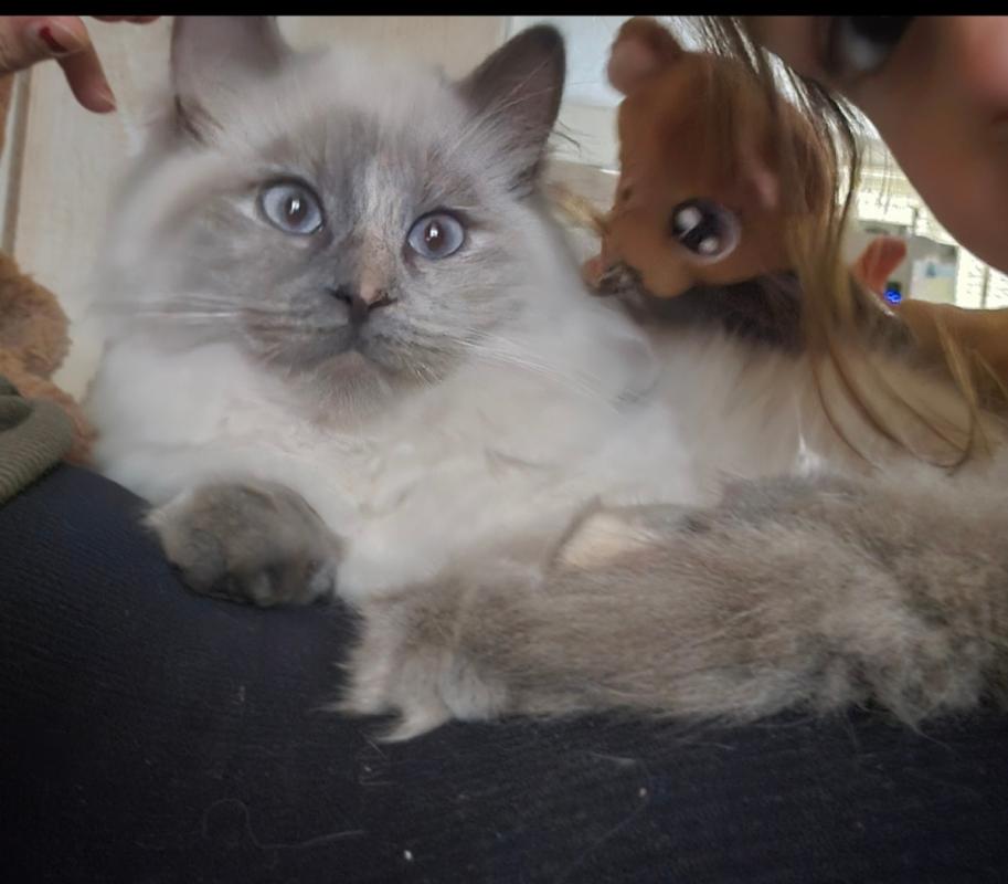 Yuki