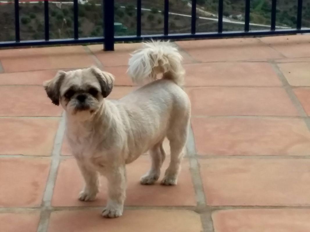 Binkie