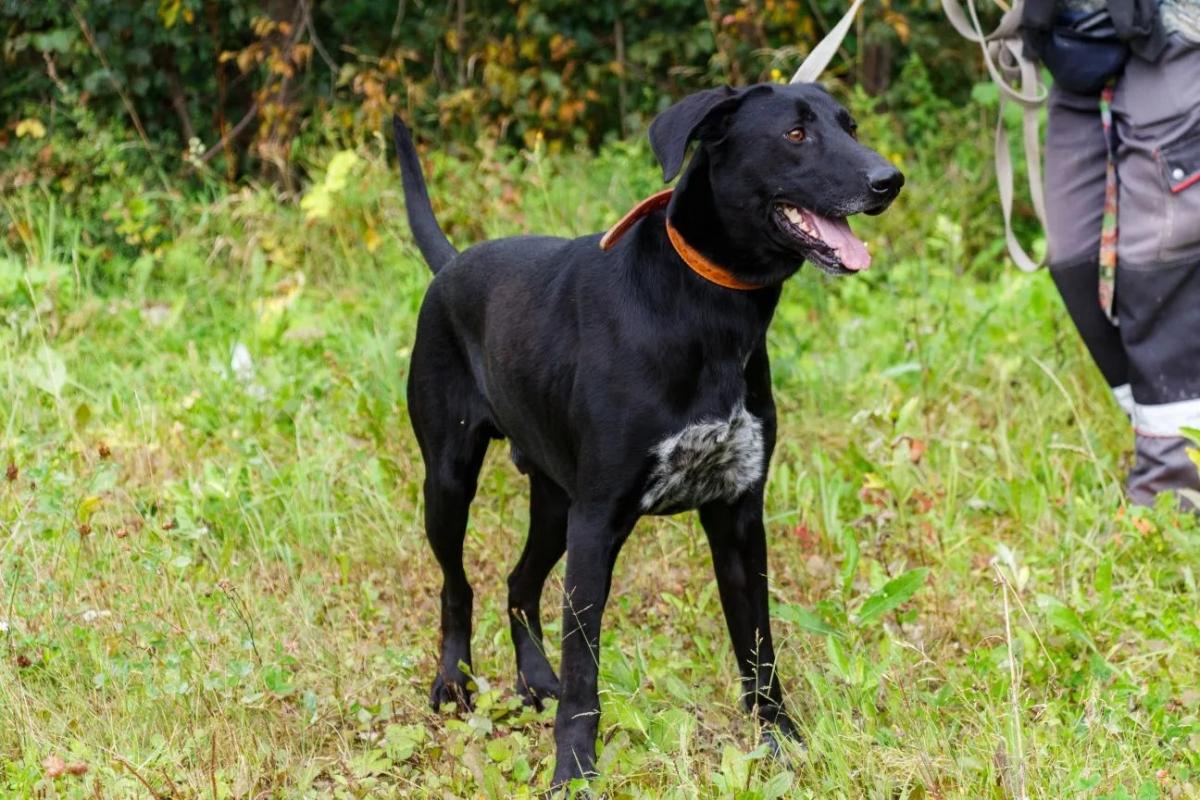 Max