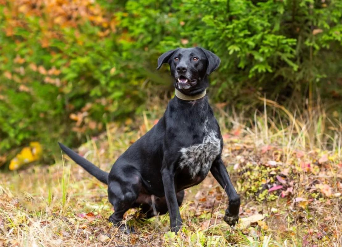 Max