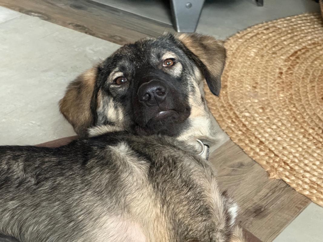 Luna