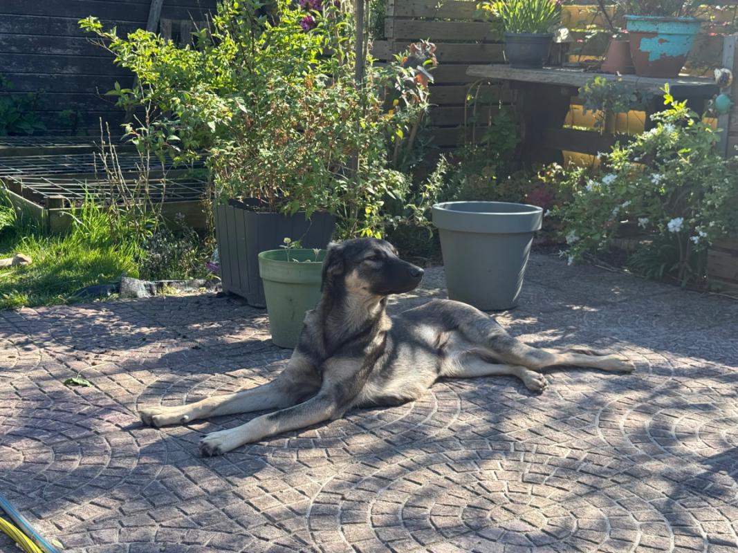Luna