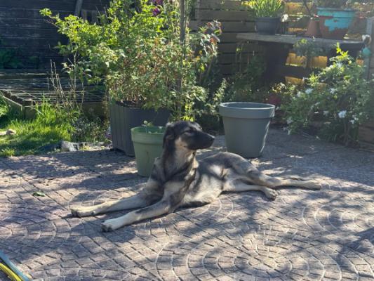 Luna