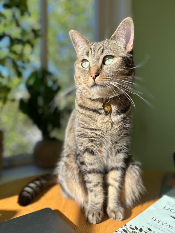 Freyja