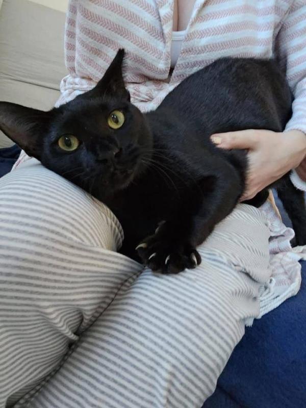 Onyx
