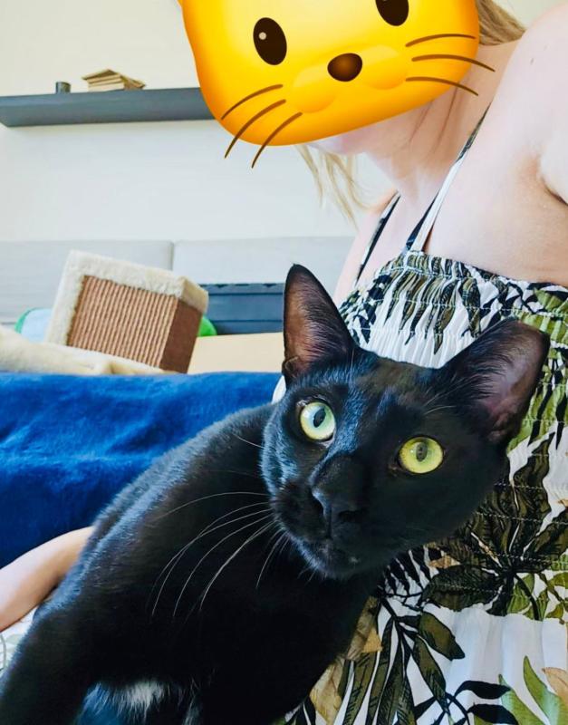 Onyx