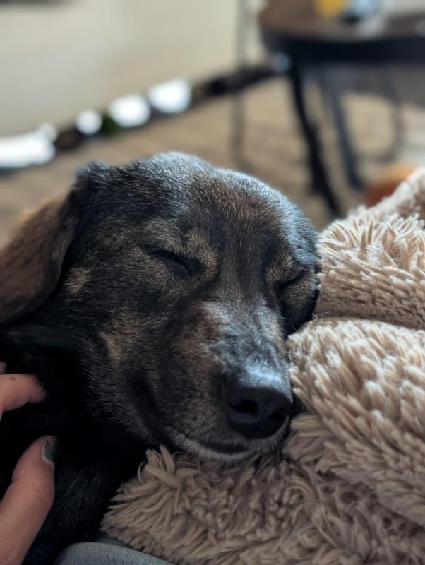 Soraya