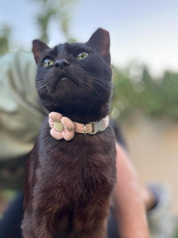 Nora