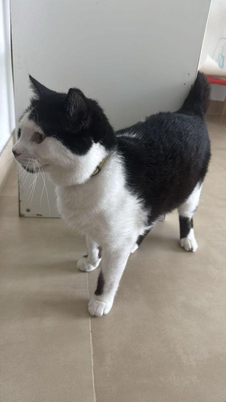 Jed