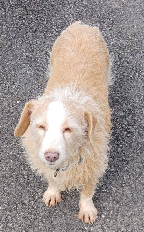 Yuki