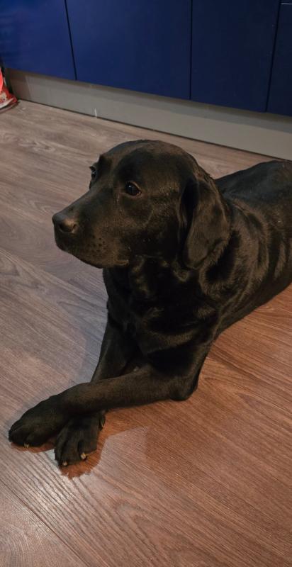 Ella