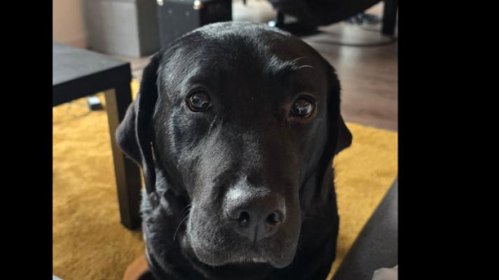 Ella