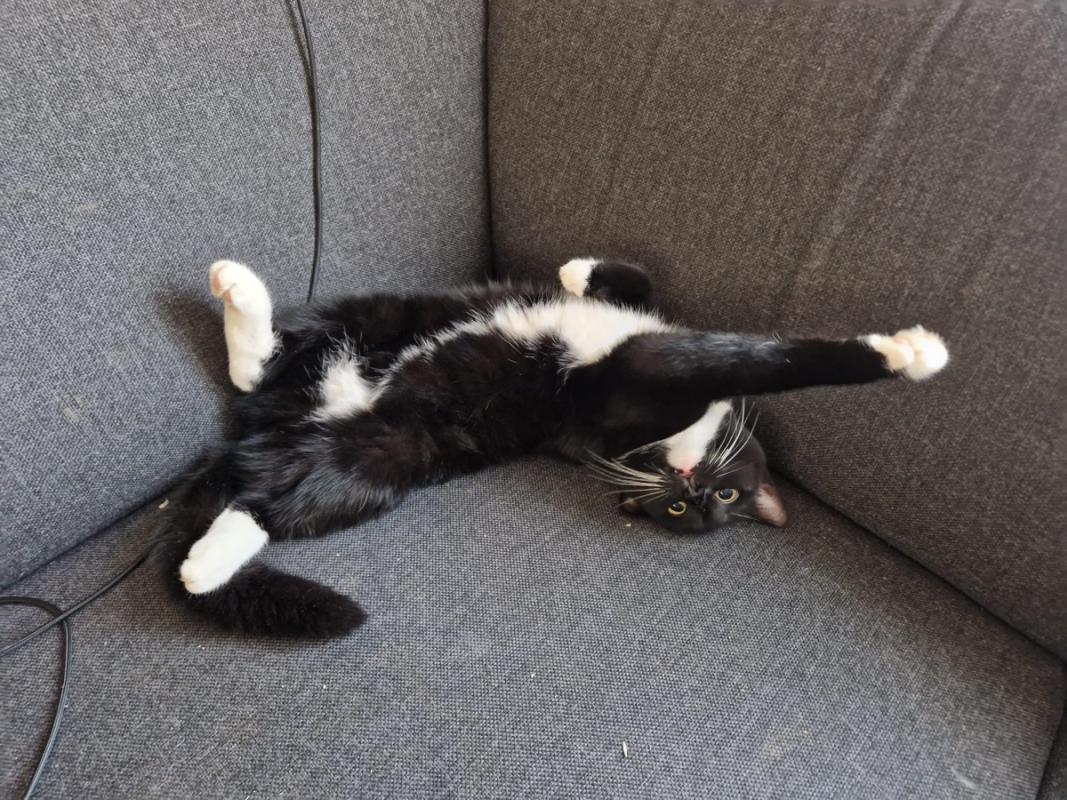 Zoë