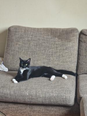 Zoë