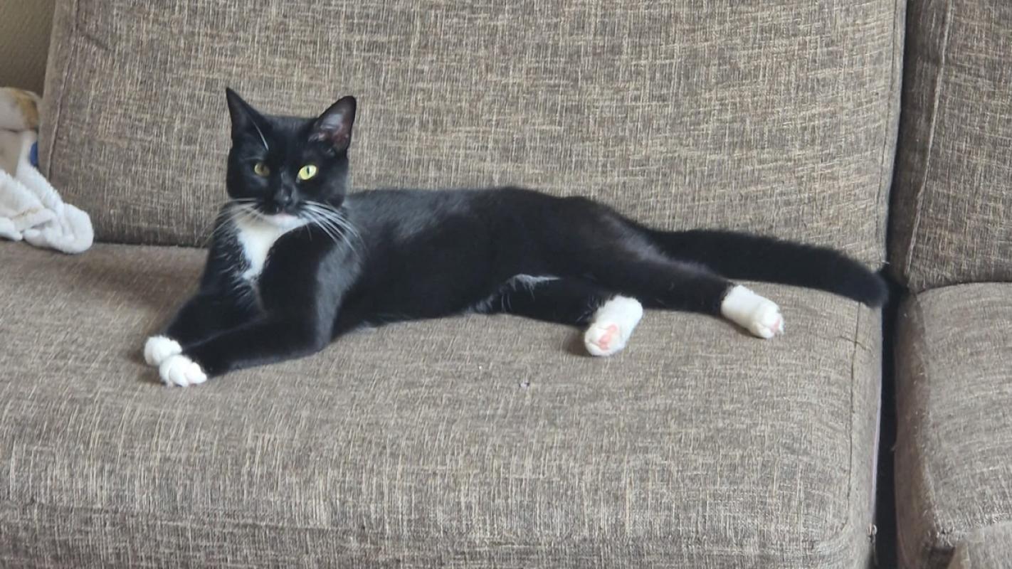 Zoë