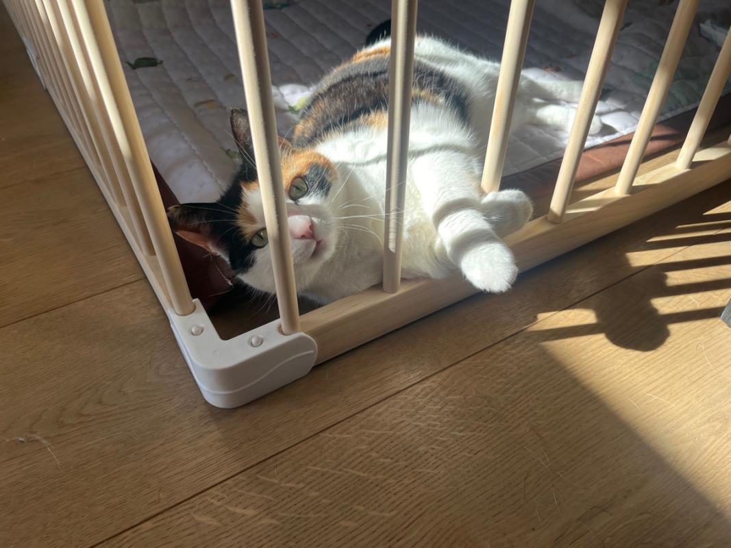 Mia