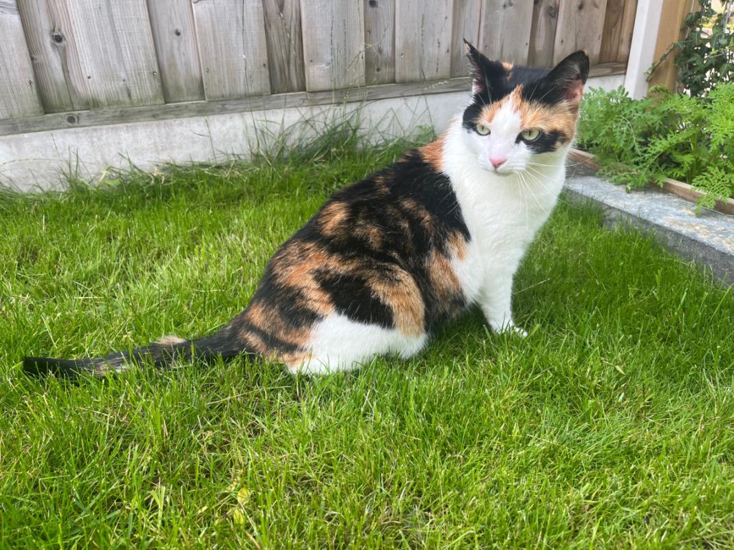 Mia