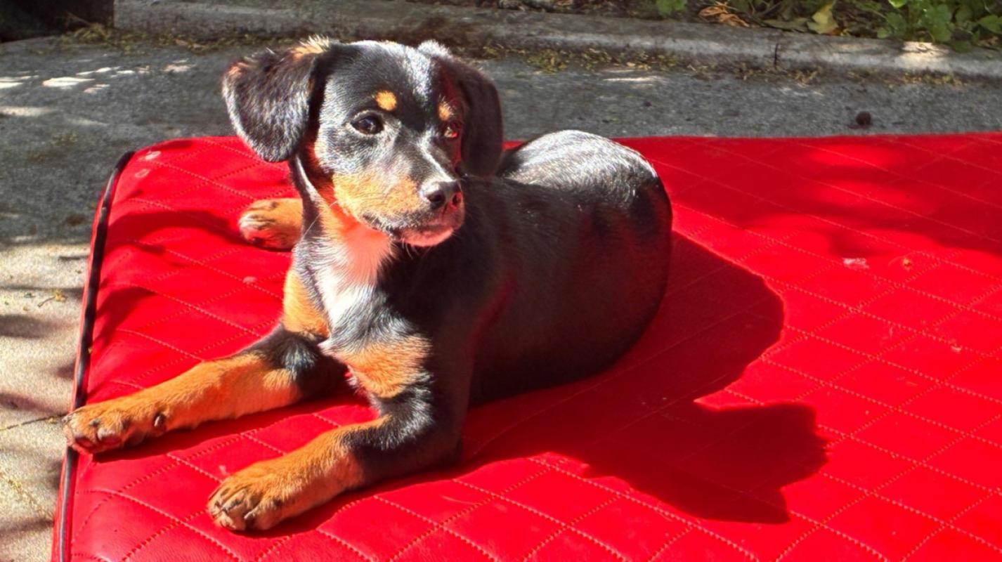 Ruby